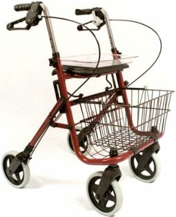 Nannie Deluxe Walker From Mobility Express